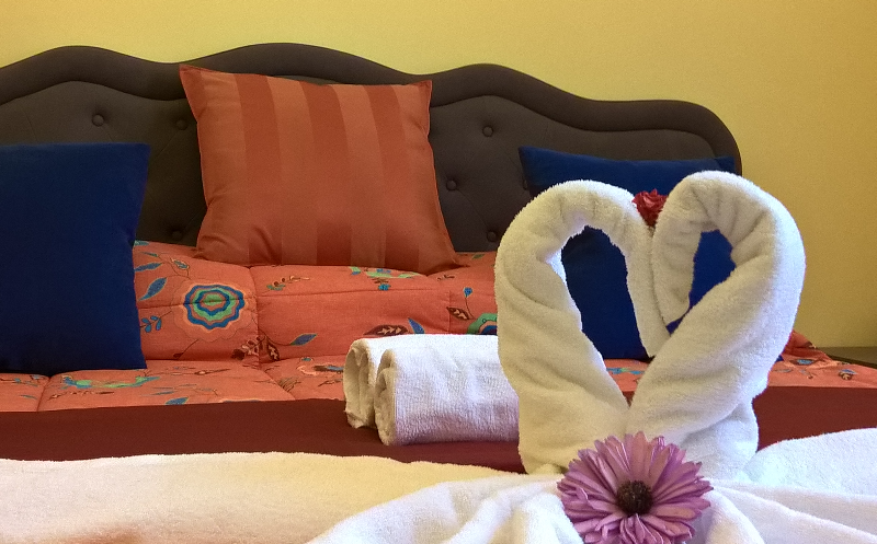 System.Collections.Generic.List`1[BluePillow.Application.SearchEngine.Dto.PhotoDto]?.ElementAt(0)?.Caption