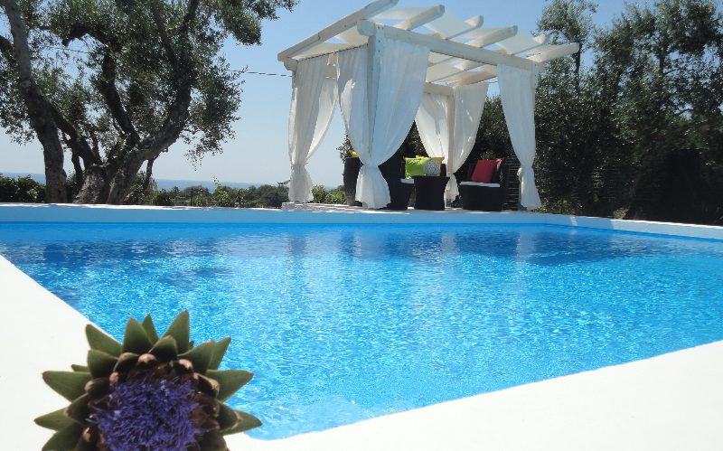 System.Collections.Generic.List`1[BluePillow.Application.SearchEngine.Dto.PhotoDto]?.ElementAt(1)?.Caption