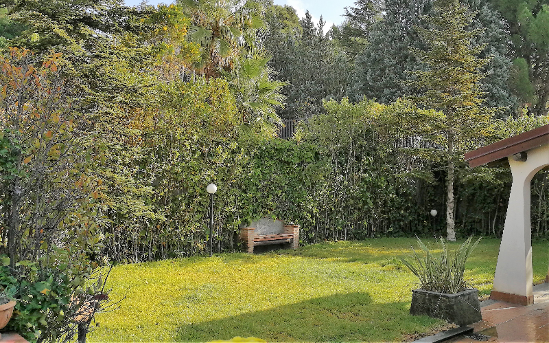 System.Collections.Generic.List`1[BluePillow.Application.SearchEngine.Dto.PhotoDto]?.ElementAt(3)?.Caption