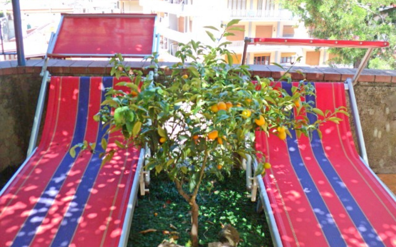 System.Collections.Generic.List`1[BluePillow.Application.SearchEngine.Dto.PhotoDto]?.ElementAt(0)?.Caption