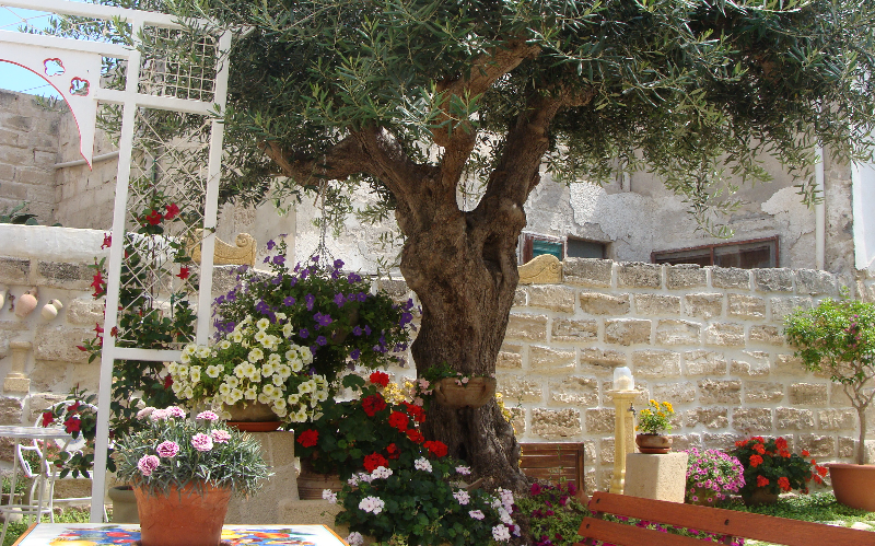 System.Collections.Generic.List`1[BluePillow.Application.SearchEngine.Dto.PhotoDto]?.ElementAt(0)?.Caption