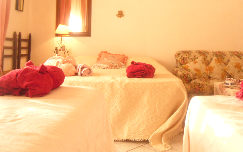 System.Collections.Generic.List`1[BluePillow.Application.SearchEngine.Dto.PhotoDto]?.ElementAt(0)?.Caption