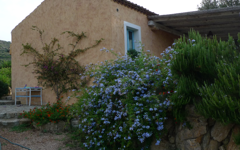 System.Collections.Generic.List`1[BluePillow.Application.SearchEngine.Dto.PhotoDto]?.ElementAt(1)?.Caption