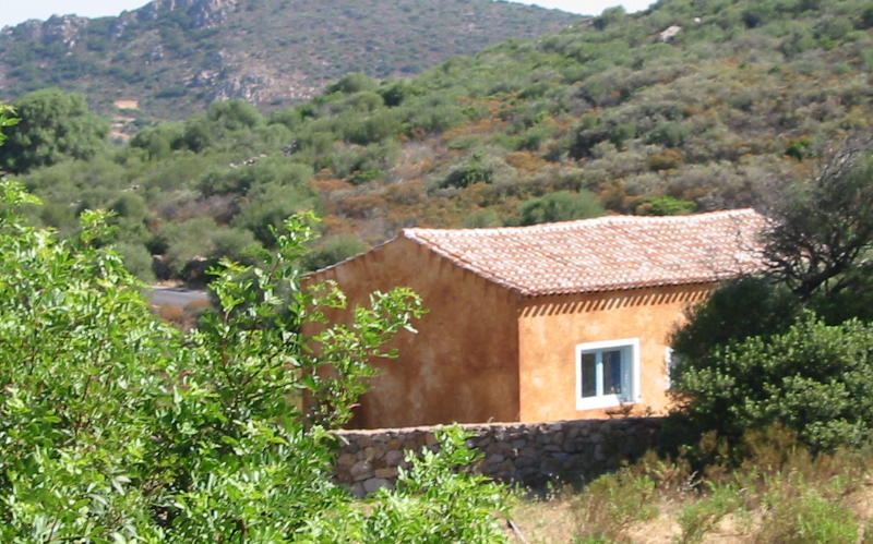 System.Collections.Generic.List`1[BluePillow.Application.SearchEngine.Dto.PhotoDto]?.ElementAt(2)?.Caption