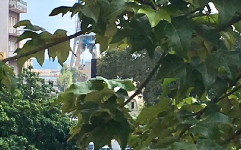 System.Collections.Generic.List`1[BluePillow.Application.SearchEngine.Dto.PhotoDto]?.ElementAt(0)?.Caption