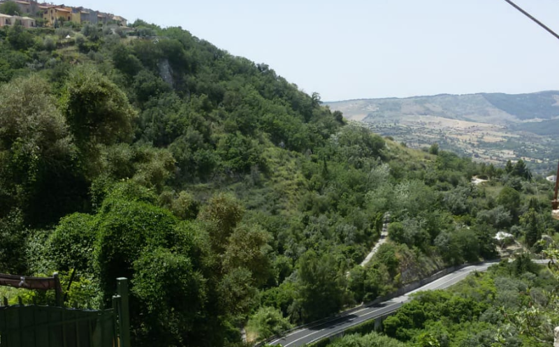 System.Collections.Generic.List`1[BluePillow.Application.SearchEngine.Dto.PhotoDto]?.ElementAt(0)?.Caption