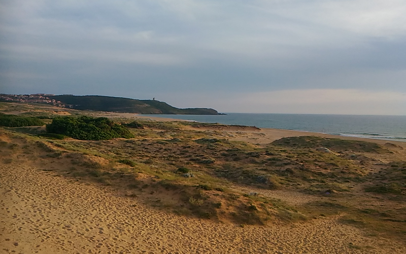 System.Collections.Generic.List`1[BluePillow.Application.SearchEngine.Dto.PhotoDto]?.ElementAt(1)?.Caption