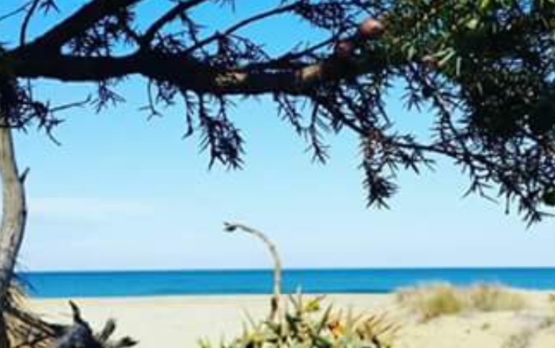 System.Collections.Generic.List`1[BluePillow.Application.SearchEngine.Dto.PhotoDto]?.ElementAt(3)?.Caption