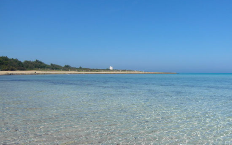 System.Collections.Generic.List`1[BluePillow.Application.SearchEngine.Dto.PhotoDto]?.ElementAt(1)?.Caption