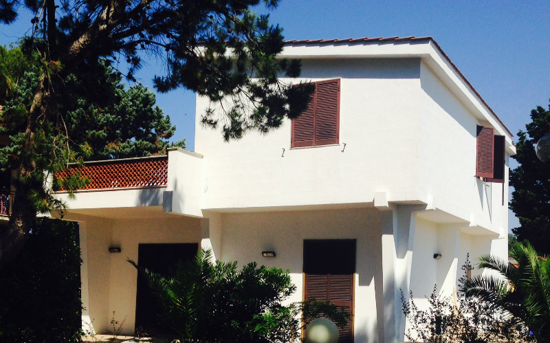 Villa in pine forest