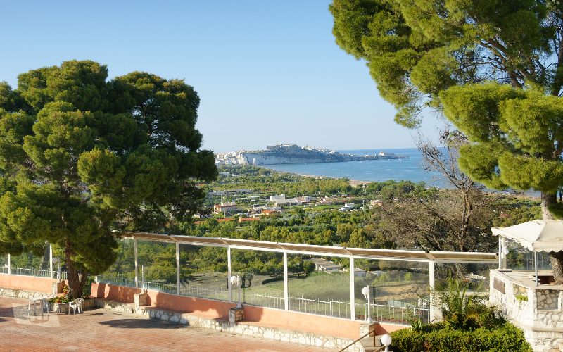 System.Collections.Generic.List`1[BluePillow.Application.SearchEngine.Dto.PhotoDto]?.ElementAt(0)?.Caption