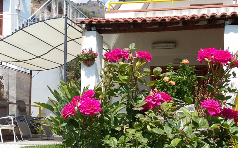 System.Collections.Generic.List`1[BluePillow.Application.SearchEngine.Dto.PhotoDto]?.ElementAt(0)?.Caption