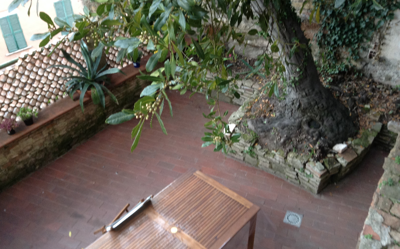 System.Collections.Generic.List`1[BluePillow.Application.SearchEngine.Dto.PhotoDto]?.ElementAt(1)?.Caption