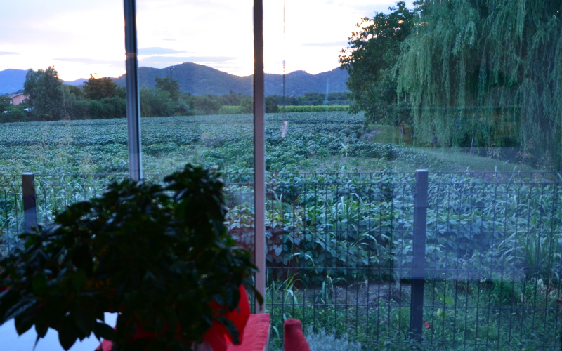 System.Collections.Generic.List`1[BluePillow.Application.SearchEngine.Dto.PhotoDto]?.ElementAt(0)?.Caption