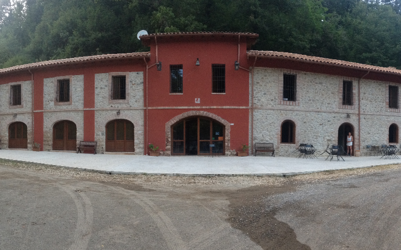 System.Collections.Generic.List`1[BluePillow.Application.SearchEngine.Dto.PhotoDto]?.ElementAt(0)?.Caption