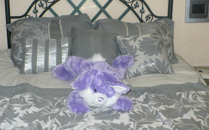 System.Collections.Generic.List`1[BluePillow.Application.SearchEngine.Dto.PhotoDto]?.ElementAt(3)?.Caption