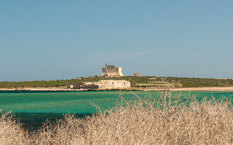 System.Collections.Generic.List`1[BluePillow.Application.SearchEngine.Dto.PhotoDto]?.ElementAt(0)?.Caption