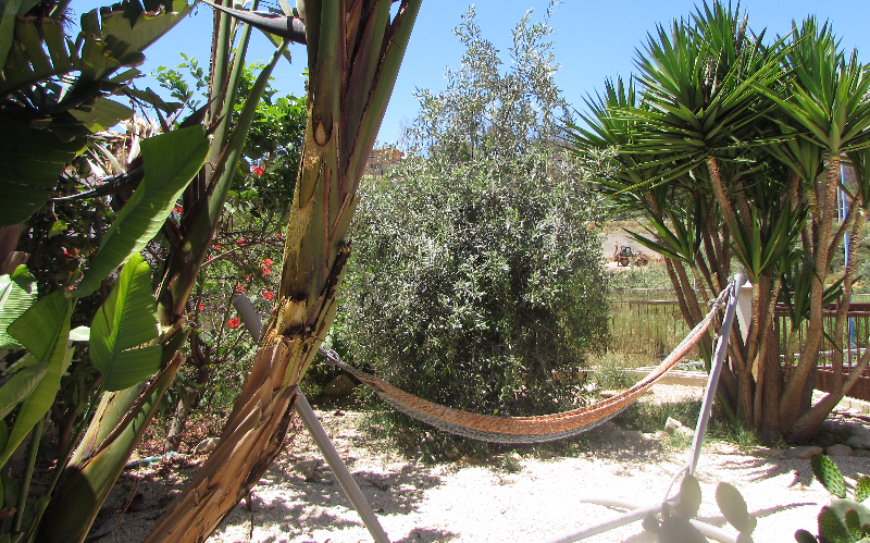 System.Collections.Generic.List`1[BluePillow.Application.SearchEngine.Dto.PhotoDto]?.ElementAt(2)?.Caption