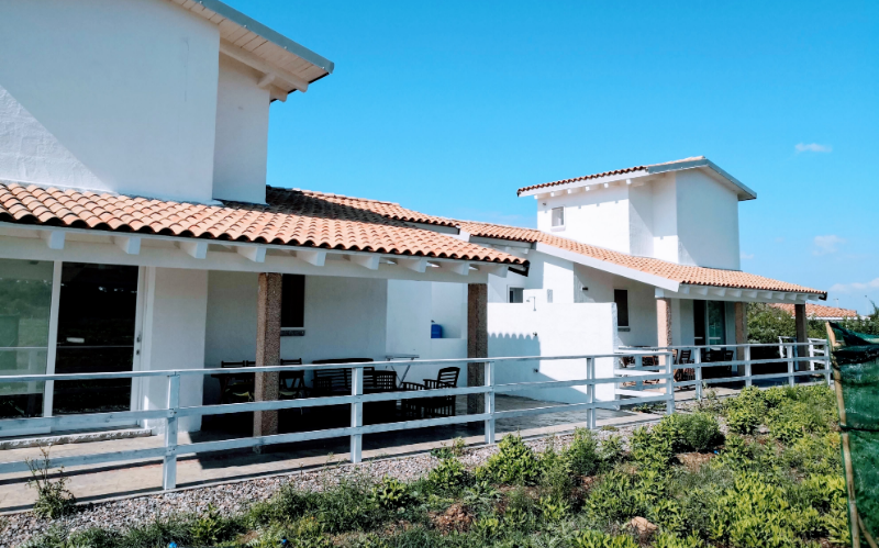 System.Collections.Generic.List`1[BluePillow.Application.SearchEngine.Dto.PhotoDto]?.ElementAt(0)?.Caption