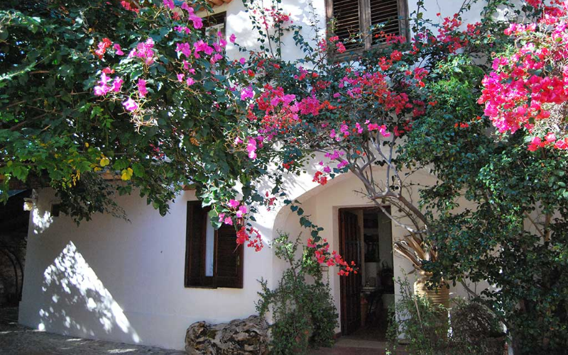 System.Collections.Generic.List`1[BluePillow.Application.SearchEngine.Dto.PhotoDto]?.ElementAt(1)?.Caption