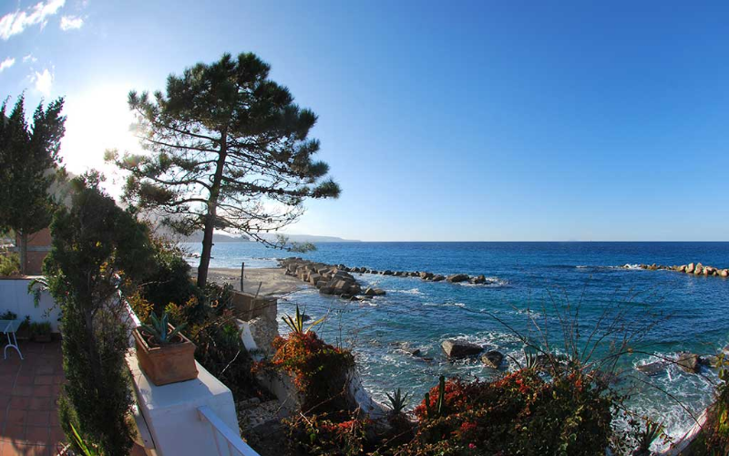 System.Collections.Generic.List`1[BluePillow.Application.SearchEngine.Dto.PhotoDto]?.ElementAt(0)?.Caption