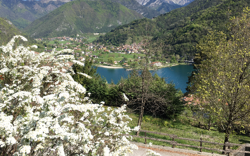 System.Collections.Generic.List`1[BluePillow.Application.SearchEngine.Dto.PhotoDto]?.ElementAt(0)?.Caption