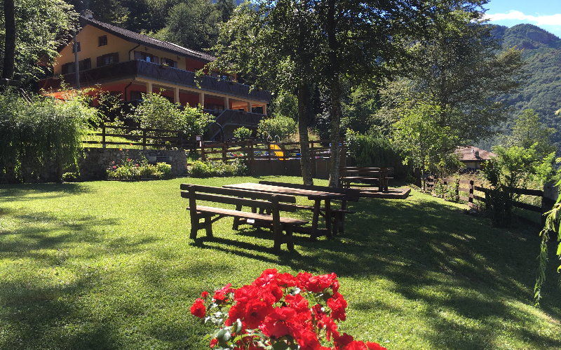 System.Collections.Generic.List`1[BluePillow.Application.SearchEngine.Dto.PhotoDto]?.ElementAt(3)?.Caption