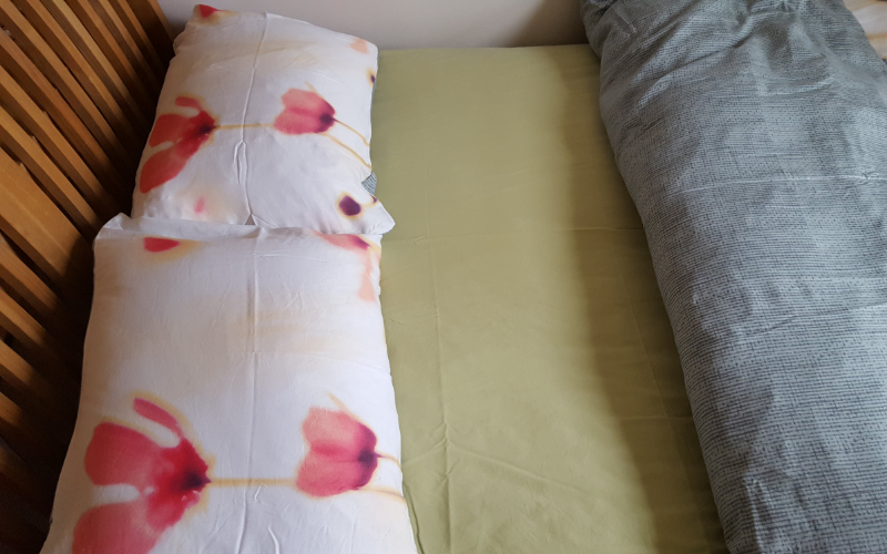 System.Collections.Generic.List`1[BluePillow.Application.SearchEngine.Dto.PhotoDto]?.ElementAt(1)?.Caption