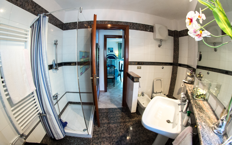 System.Collections.Generic.List`1[BluePillow.Application.SearchEngine.Dto.PhotoDto]?.ElementAt(2)?.Caption