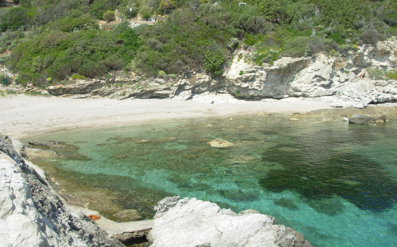 System.Collections.Generic.List`1[BluePillow.Application.SearchEngine.Dto.PhotoDto]?.ElementAt(0)?.Caption