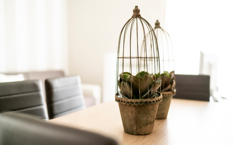 System.Collections.Generic.List`1[BluePillow.Application.SearchEngine.Dto.PhotoDto]?.ElementAt(3)?.Caption