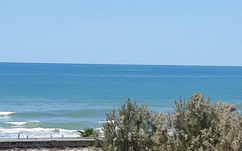 System.Collections.Generic.List`1[BluePillow.Application.SearchEngine.Dto.PhotoDto]?.ElementAt(1)?.Caption