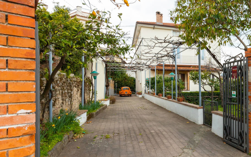 System.Collections.Generic.List`1[BluePillow.Application.SearchEngine.Dto.PhotoDto]?.ElementAt(0)?.Caption