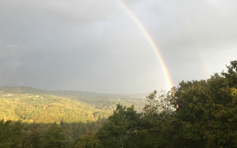 System.Collections.Generic.List`1[BluePillow.Application.SearchEngine.Dto.PhotoDto]?.ElementAt(0)?.Caption