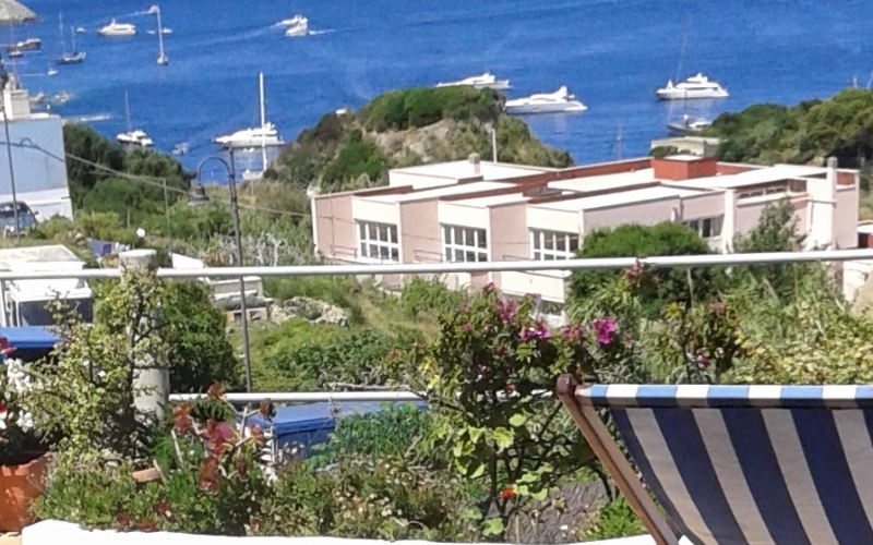 System.Collections.Generic.List`1[BluePillow.Application.SearchEngine.Dto.PhotoDto]?.ElementAt(0)?.Caption