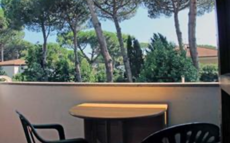 System.Collections.Generic.List`1[BluePillow.Application.SearchEngine.Dto.PhotoDto]?.ElementAt(0)?.Caption