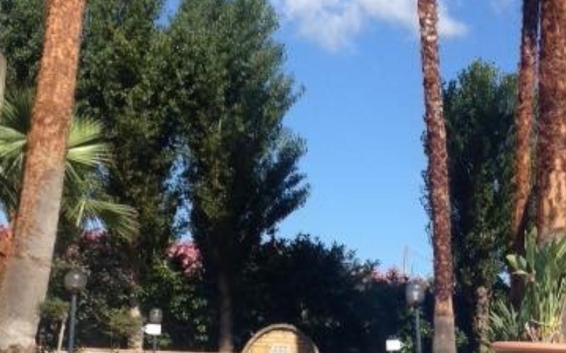 System.Collections.Generic.List`1[BluePillow.Application.SearchEngine.Dto.PhotoDto]?.ElementAt(3)?.Caption