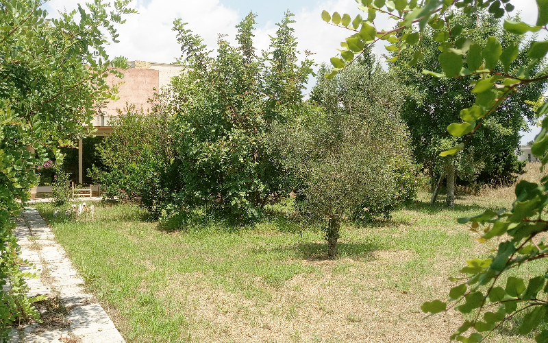 System.Collections.Generic.List`1[BluePillow.Application.SearchEngine.Dto.PhotoDto]?.ElementAt(2)?.Caption