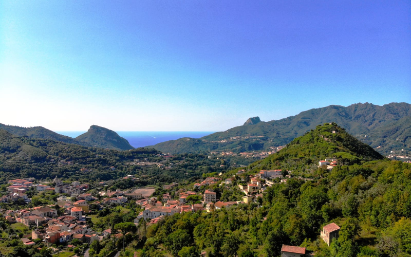 System.Collections.Generic.List`1[BluePillow.Application.SearchEngine.Dto.PhotoDto]?.ElementAt(2)?.Caption