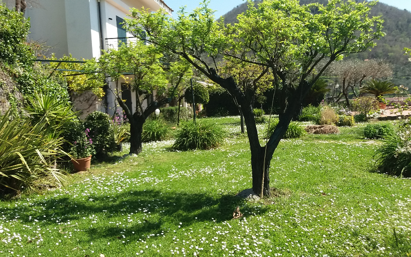 System.Collections.Generic.List`1[BluePillow.Application.SearchEngine.Dto.PhotoDto]?.ElementAt(0)?.Caption