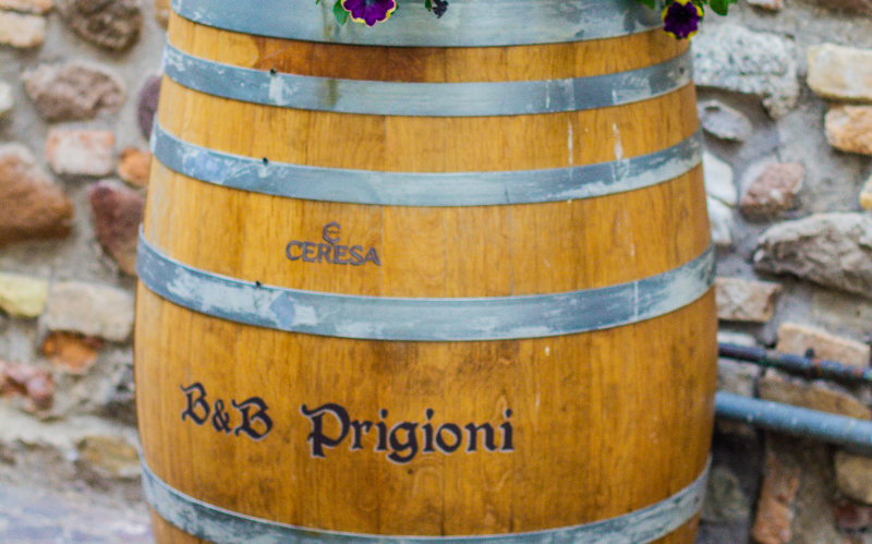 System.Collections.Generic.List`1[BluePillow.Application.SearchEngine.Dto.PhotoDto]?.ElementAt(0)?.Caption