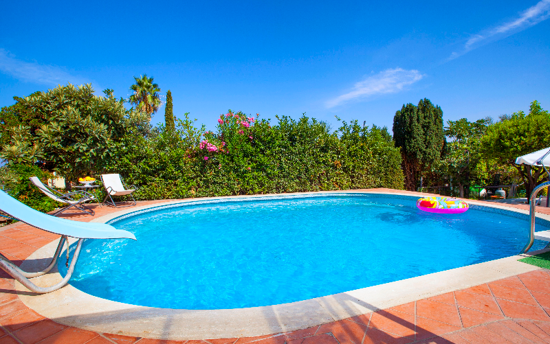 System.Collections.Generic.List`1[BluePillow.Application.SearchEngine.Dto.PhotoDto]?.ElementAt(0)?.Caption