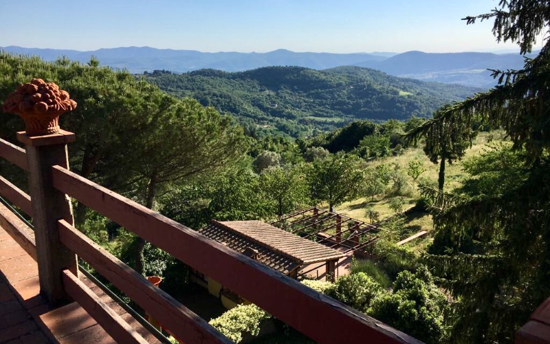 System.Collections.Generic.List`1[BluePillow.Application.SearchEngine.Dto.PhotoDto]?.ElementAt(0)?.Caption