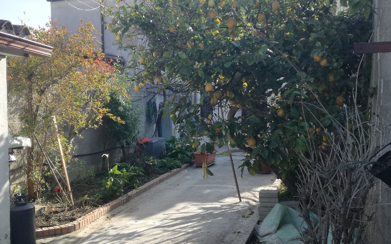 System.Collections.Generic.List`1[BluePillow.Application.SearchEngine.Dto.PhotoDto]?.ElementAt(3)?.Caption