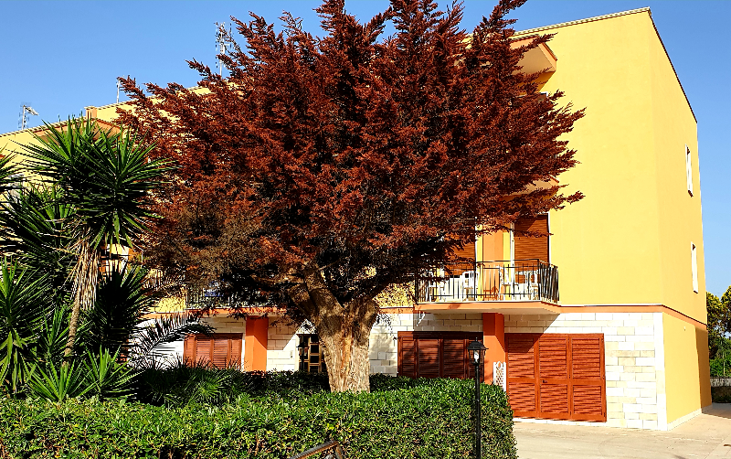 System.Collections.Generic.List`1[BluePillow.Application.SearchEngine.Dto.PhotoDto]?.ElementAt(0)?.Caption