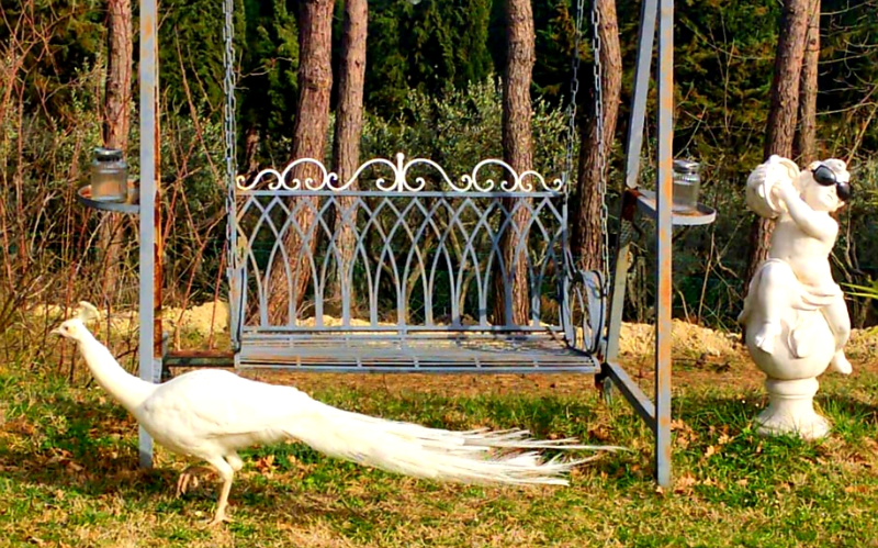 System.Collections.Generic.List`1[BluePillow.Application.SearchEngine.Dto.PhotoDto]?.ElementAt(1)?.Caption