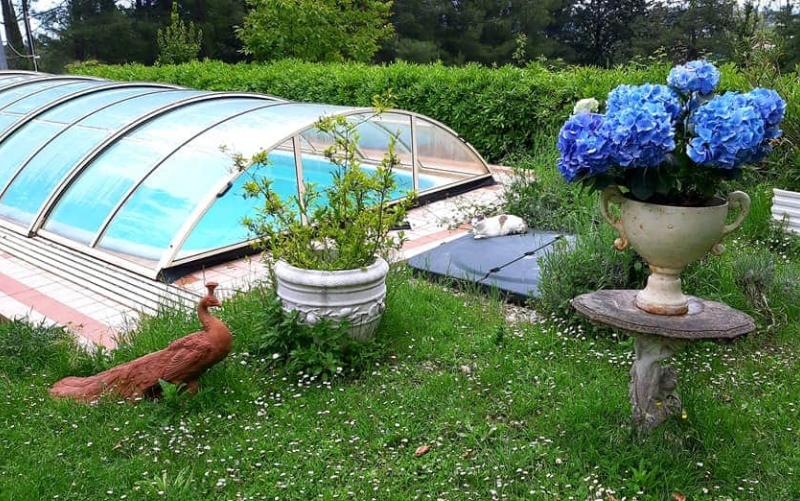 System.Collections.Generic.List`1[BluePillow.Application.SearchEngine.Dto.PhotoDto]?.ElementAt(0)?.Caption