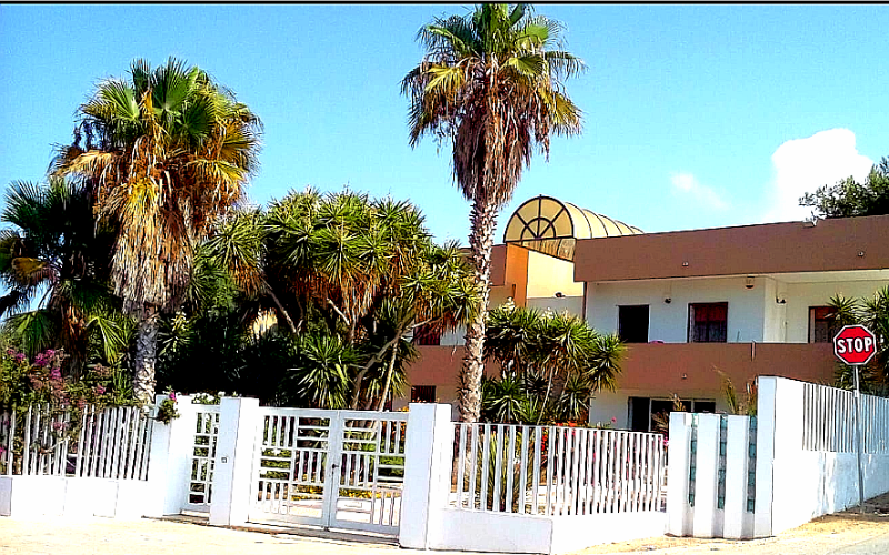 System.Collections.Generic.List`1[BluePillow.Application.SearchEngine.Dto.PhotoDto]?.ElementAt(0)?.Caption