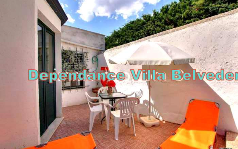 System.Collections.Generic.List`1[BluePillow.Application.SearchEngine.Dto.PhotoDto]?.ElementAt(0)?.Caption