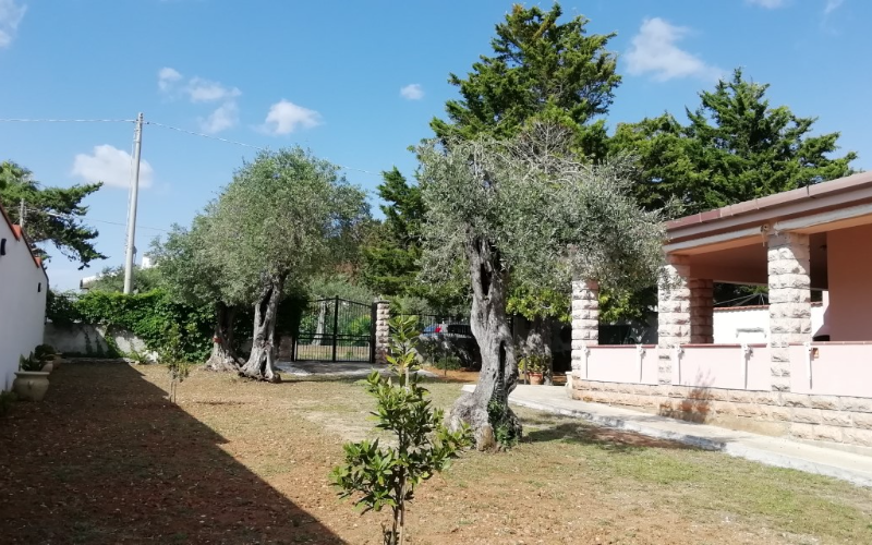 System.Collections.Generic.List`1[BluePillow.Application.SearchEngine.Dto.PhotoDto]?.ElementAt(2)?.Caption